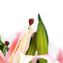 Load image into Gallery viewer, Premium Faux Pink Lily In Glass Vase (Artificial Tiger Lily Arrangement)
