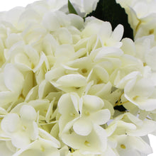 Load image into Gallery viewer, Premium Faux Hydrangea With Glass Vase (Artificial Flowering White Hydrangea) 23cm
