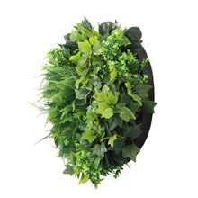 Load image into Gallery viewer, Slimline Artificial Green Wall Disc Art 60cm Mixed Green Fern &amp; Ivy (Black)
