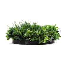 Load image into Gallery viewer, Slimline Artificial Green Wall Disc Art 60cm Mixed Green Fern &amp; Ivy (Black)
