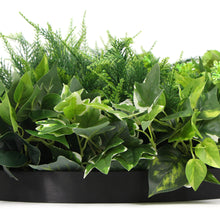 Load image into Gallery viewer, Slimline Artificial Green Wall Disc Art 60cm Mixed Green Fern &amp; Ivy (Black)
