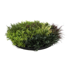 Load image into Gallery viewer, Slimline Artificial Green Wall Disc Art 80cm Green Field UV Resistant (Black)
