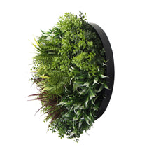 Load image into Gallery viewer, Slimline Artificial Green Wall Disc Art 50cm Green Field UV Resistant (Black)
