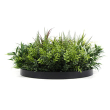 Load image into Gallery viewer, Slimline Artificial Green Wall Disc Art 50cm Green Field UV Resistant (Black)
