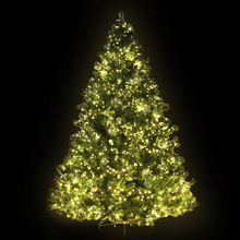 Load image into Gallery viewer, Large Green LED Lights Christmas Tree 2.4m
