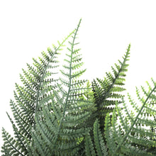 Load image into Gallery viewer, Premium Artificial Australian Fern UV Resistant 60cm
