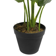 Load image into Gallery viewer, Artificial Potted Taro Plant / Elephant Ear 55cm
