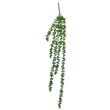 Load image into Gallery viewer, Hanging Succulent String of Pearl Beads 75cm
