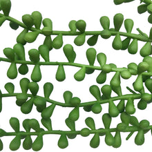 Load image into Gallery viewer, Hanging Succulent String of Pearl Beads 75cm
